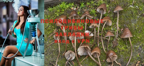 PSILOCYBIN Абинск