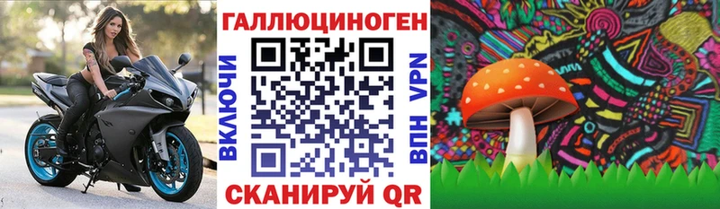 цена   это Telegram  Псилоцибиновые грибы прущие грибы  Шахунья 